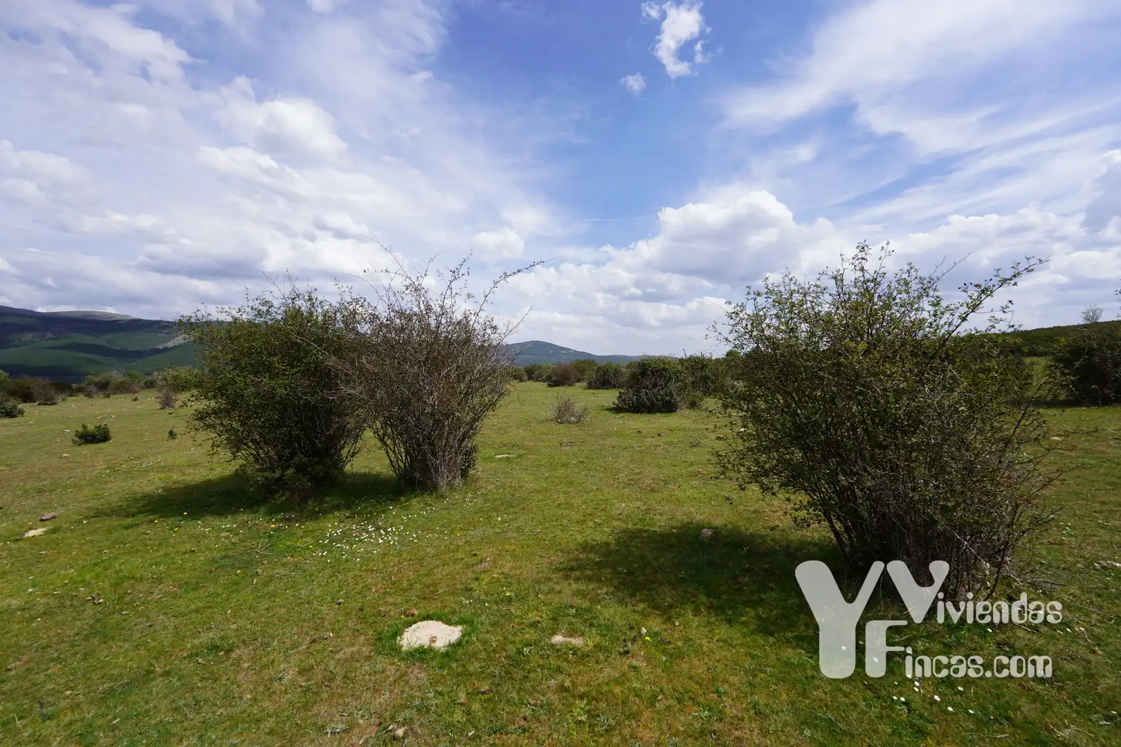 Terreno rústico en venta en Campillo de Ranas, imagen 20