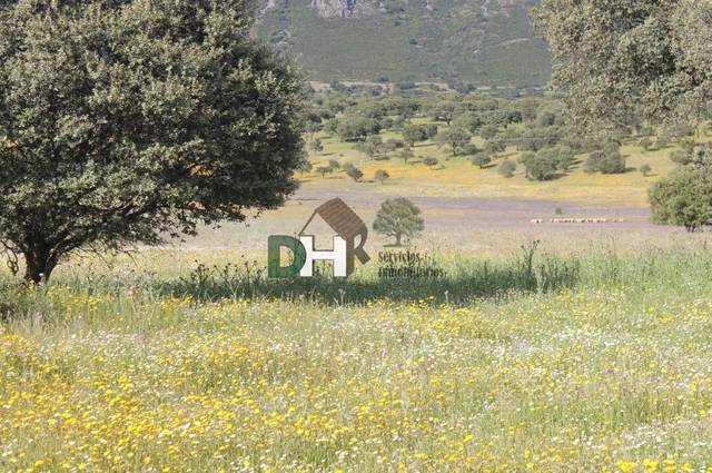 Terreno residencial en Venta en Campus Universitario