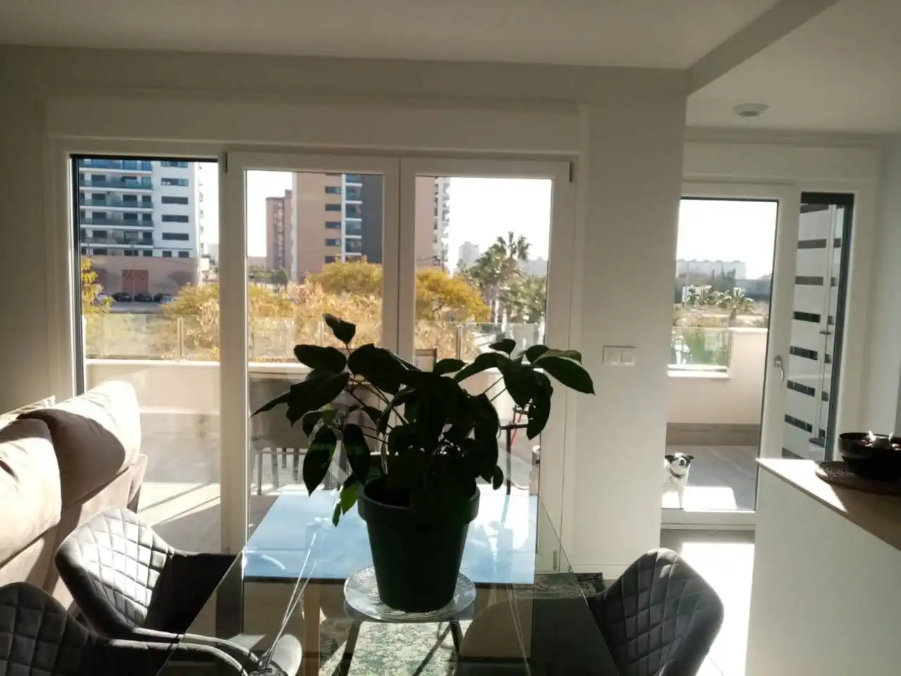 Wohnung zur Miete in Campello pueblo