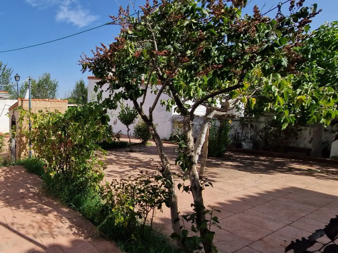 Jardí de Casa o xalet en venda en Prado de Somosaguas - La Finca