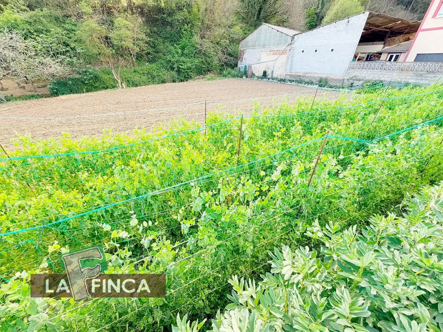 Residencial en venda a POLIGONO 9 AGONES, Pravia