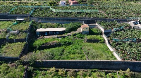 Foto 3 de Terreno en venta en Carretera Carretera Dehesas, San Antonio - Las Arenas, Puerto de la Cruz