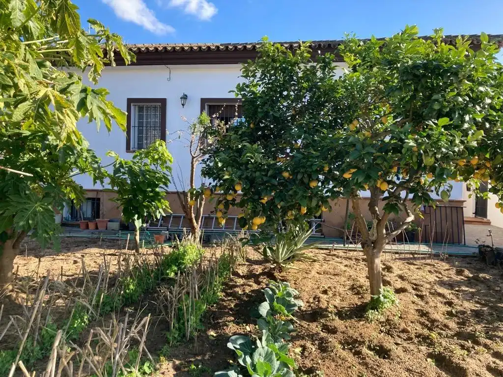 Chalet con jardín en venta en Medina Sidonia, imagen 40