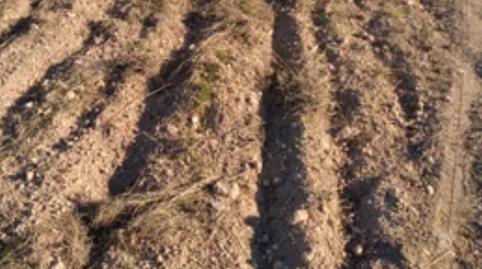 Photo 4 of Land for sale in Cv-809, 171, Partidas Norte, Alicante