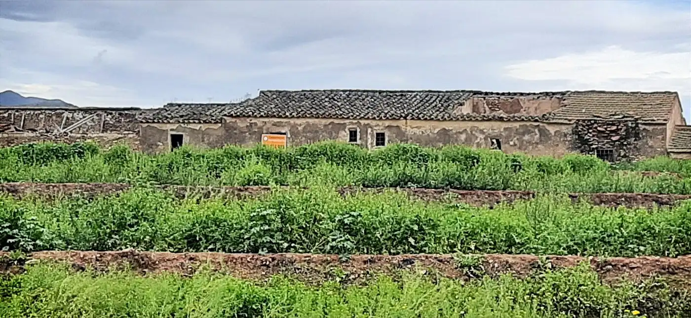 Terrain résidentiel à vendre à Pedanías Sur, imagen 6