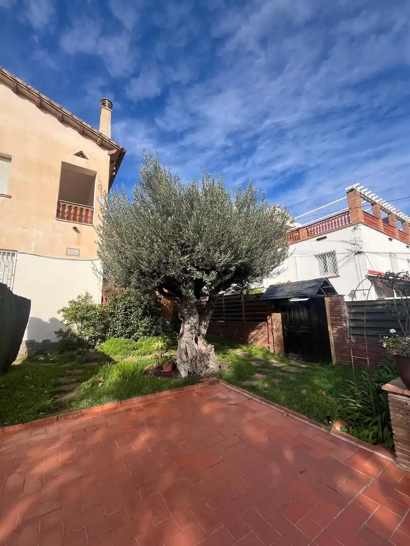 Jardí de Finca rústica en venda en El Masnou amb Aire condicionat, Calefacció i Jardí privat
