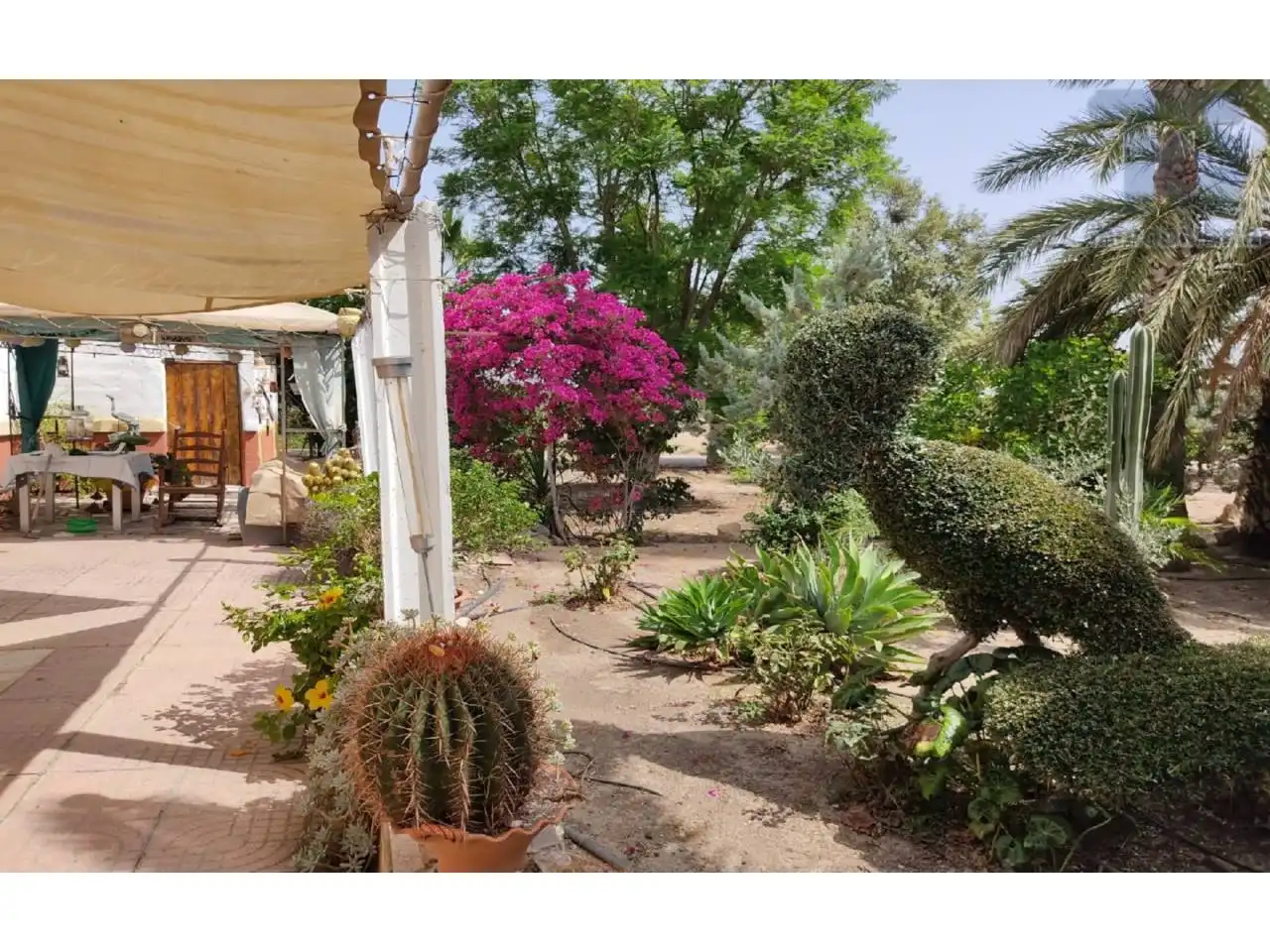 Casa amb jardí en venda a Calle MOLINOS, imagen 21