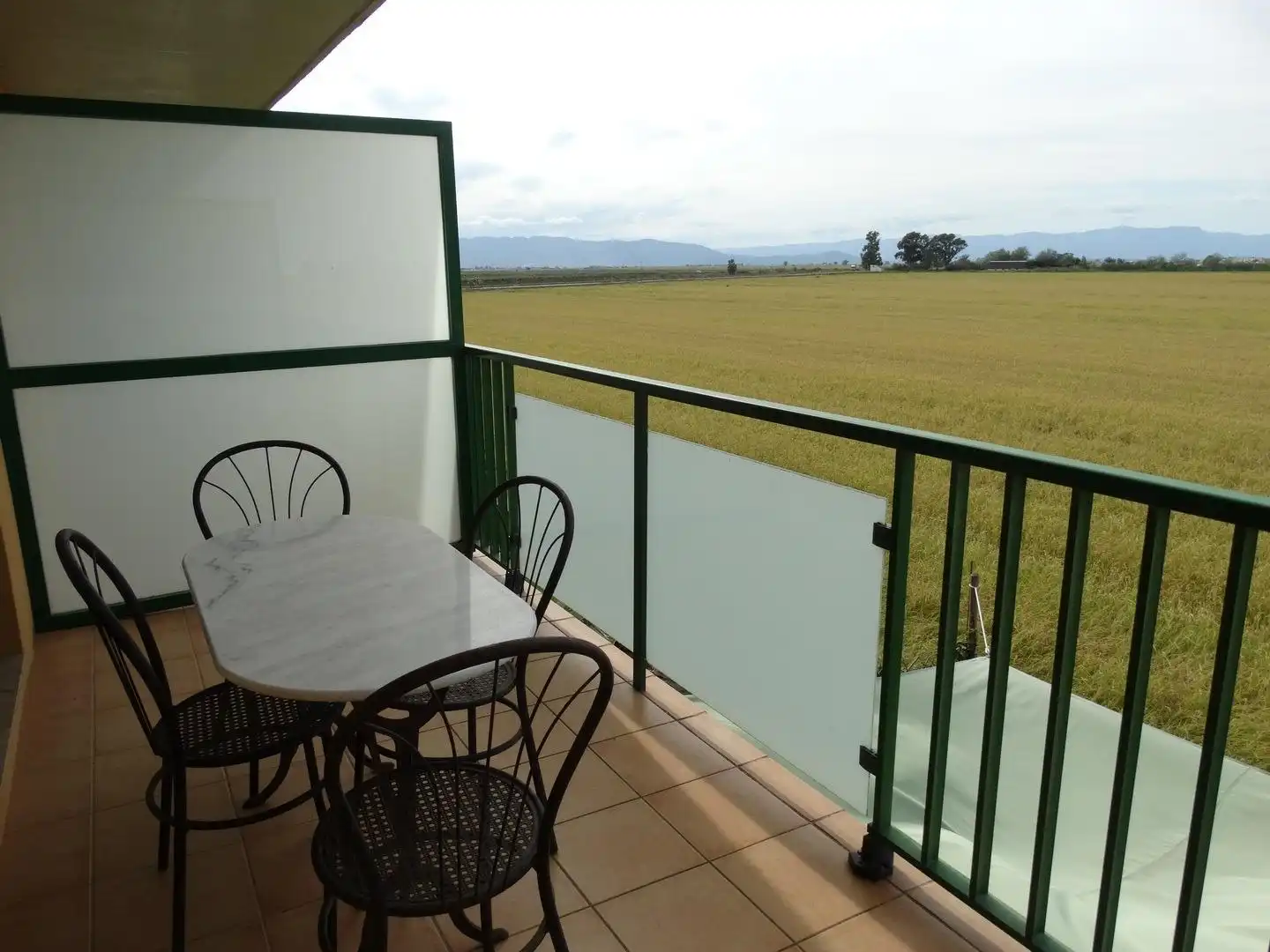 Terrace of Apartments for sale in Amposta  with Terrace