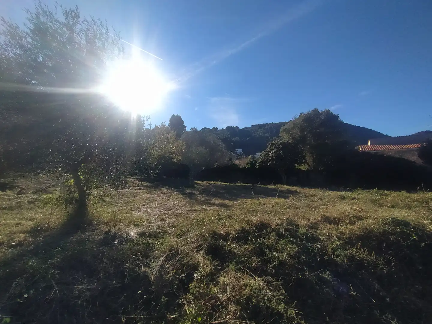 Terreny rústic en venda a Carrer de Ca n'Armengol 3