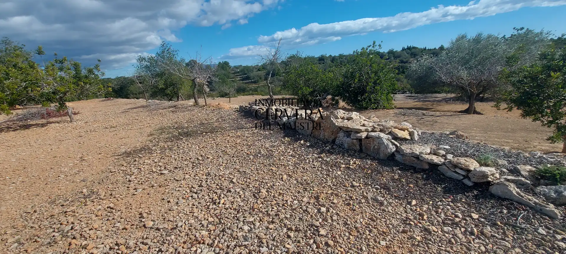Terreno rustico in vendita a Partidas de interior - Zona Rústica, imagen 16