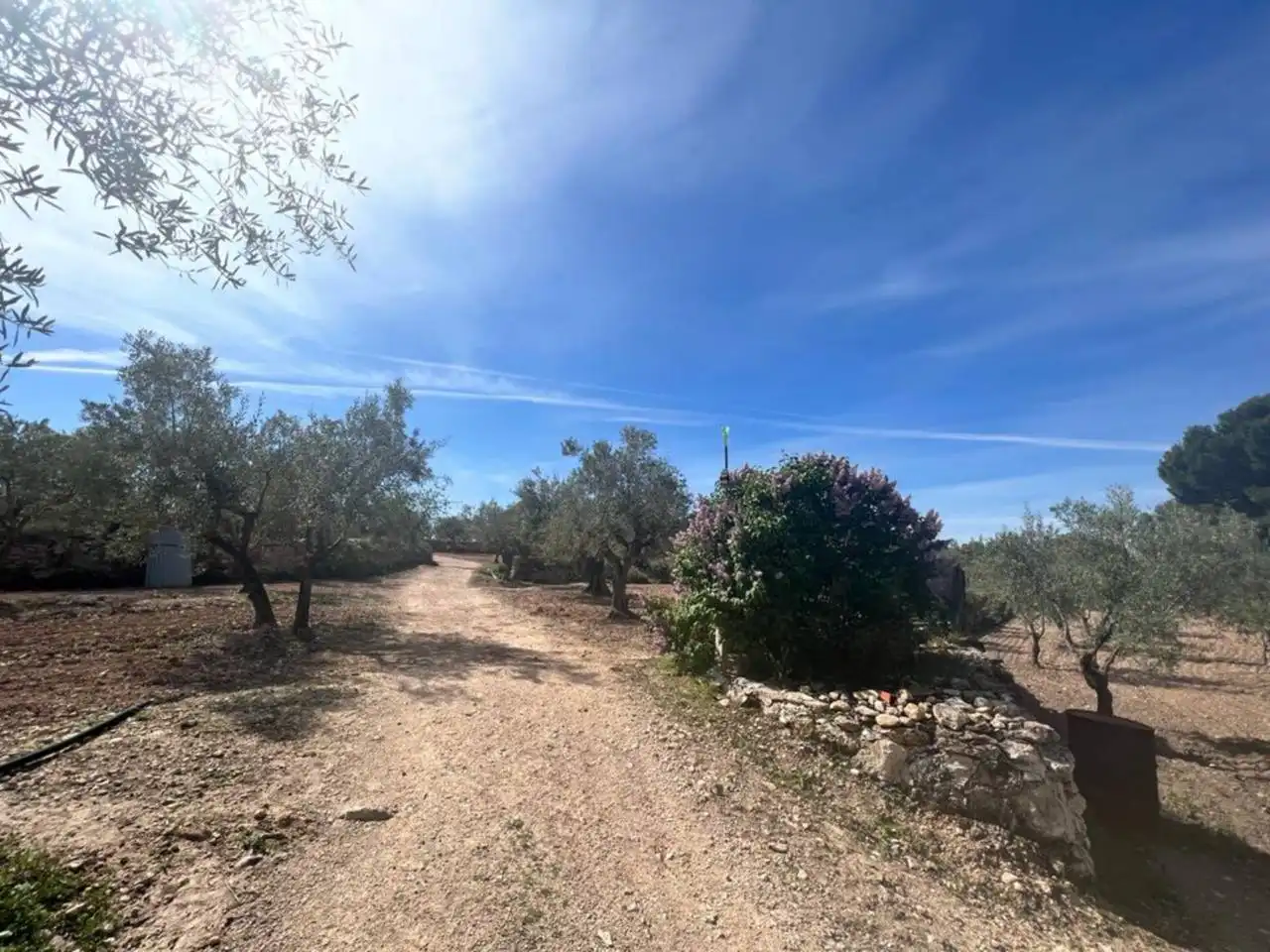 Chalet con jardín en venta en Calle Poligono, imagen 157