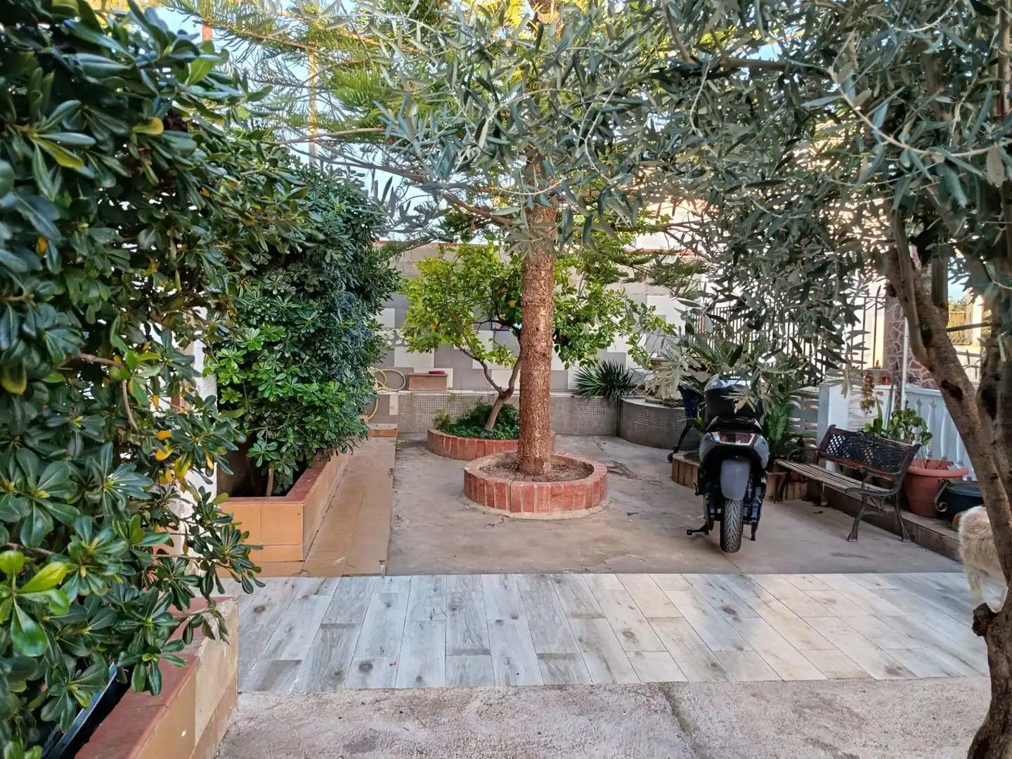 Jardín de Casa o chalet en venta en Torrent con Aire acondicionado, Calefacción y Jardín privado