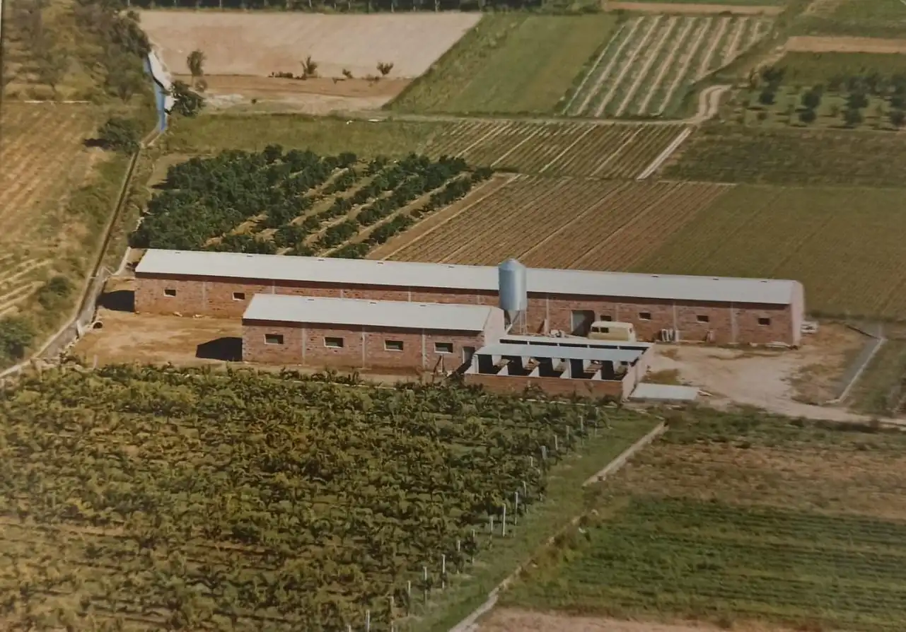 Außenansicht von Fabrikhallen zum Verkauf in Anna