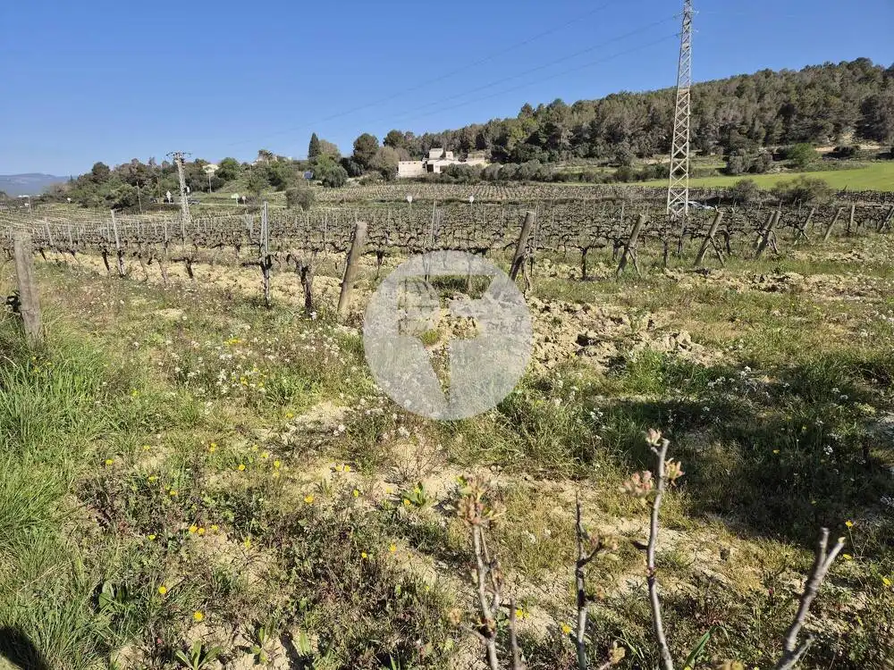 Casa rústica en venda a Sant Martí Sarroca, imagen 16