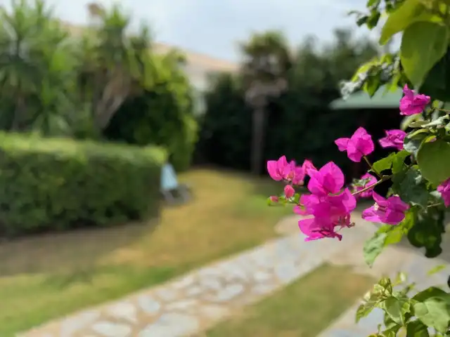 Garden of Houses for sale in Conil de la Frontera  with Air Conditioner, Private garden and Terrace