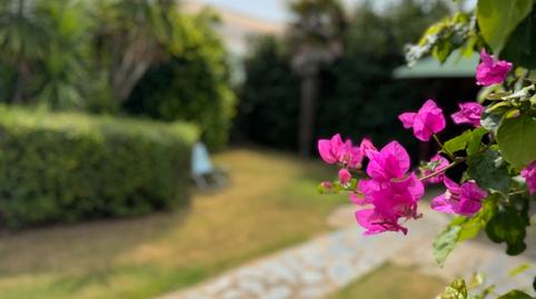 Foto 4 de Casa o chalet en venta en Avenida Helvetia, 8, Roche, Cádiz