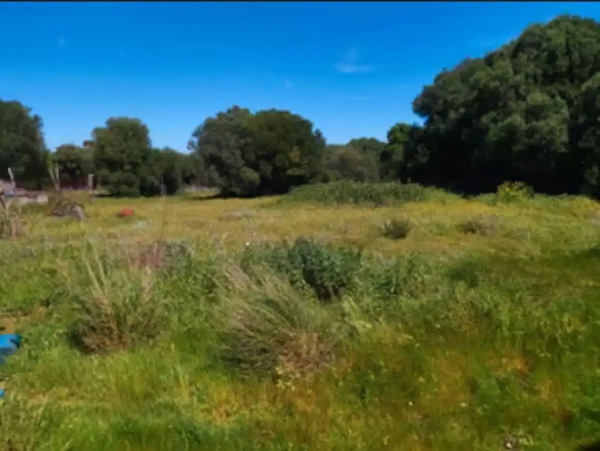 Finca rústica en venda en Barbate