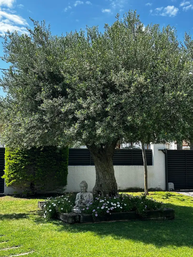 Garten von Haus oder Chalet zum Verkauf in Mont-roig del Camp mit Klimaanlage, Heizung und Privatgarten