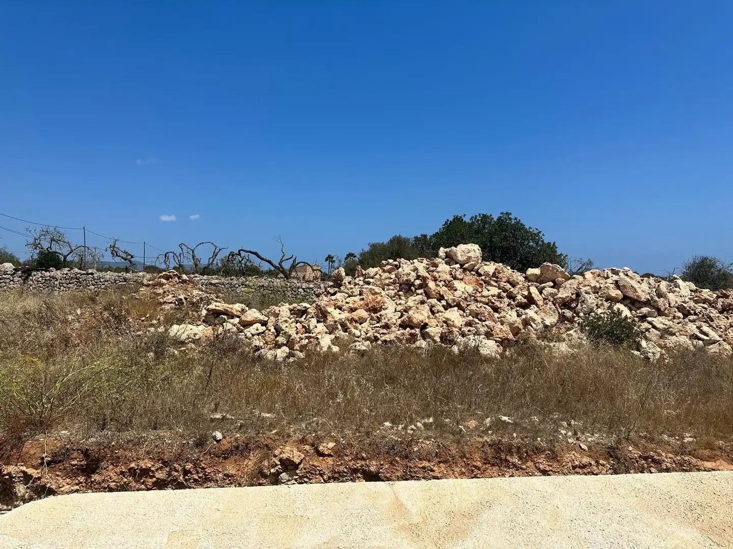 Rural land for sale in Sant Llorenç des Cardassar, imagen 12