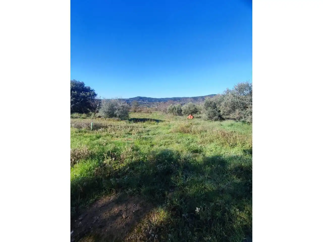 Residencial en venta en El Grado