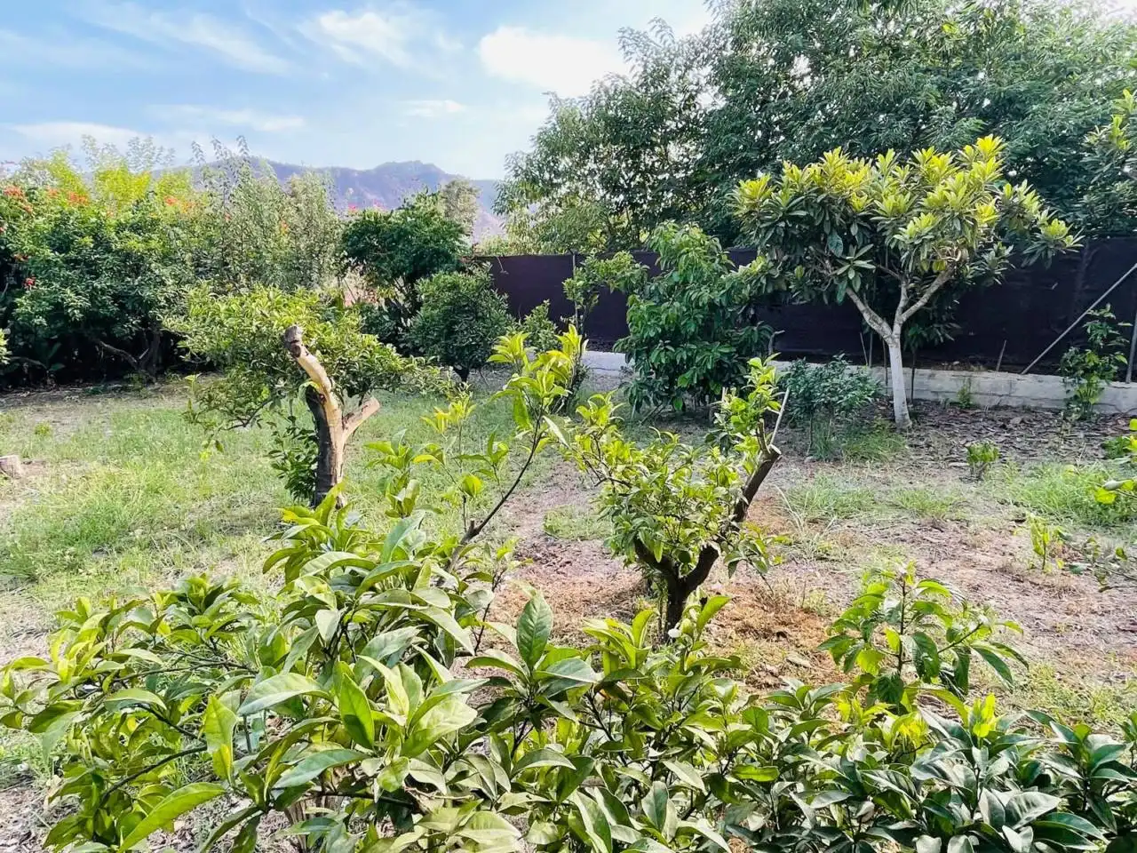 Casa o xalet en venda en Murcia amb Aire condicionat, Calefacció i Jardí privat