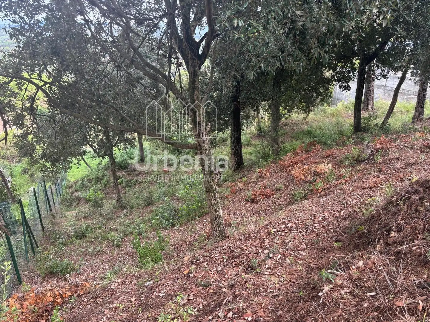 Rural land for sale in Palafolls, imagen 4