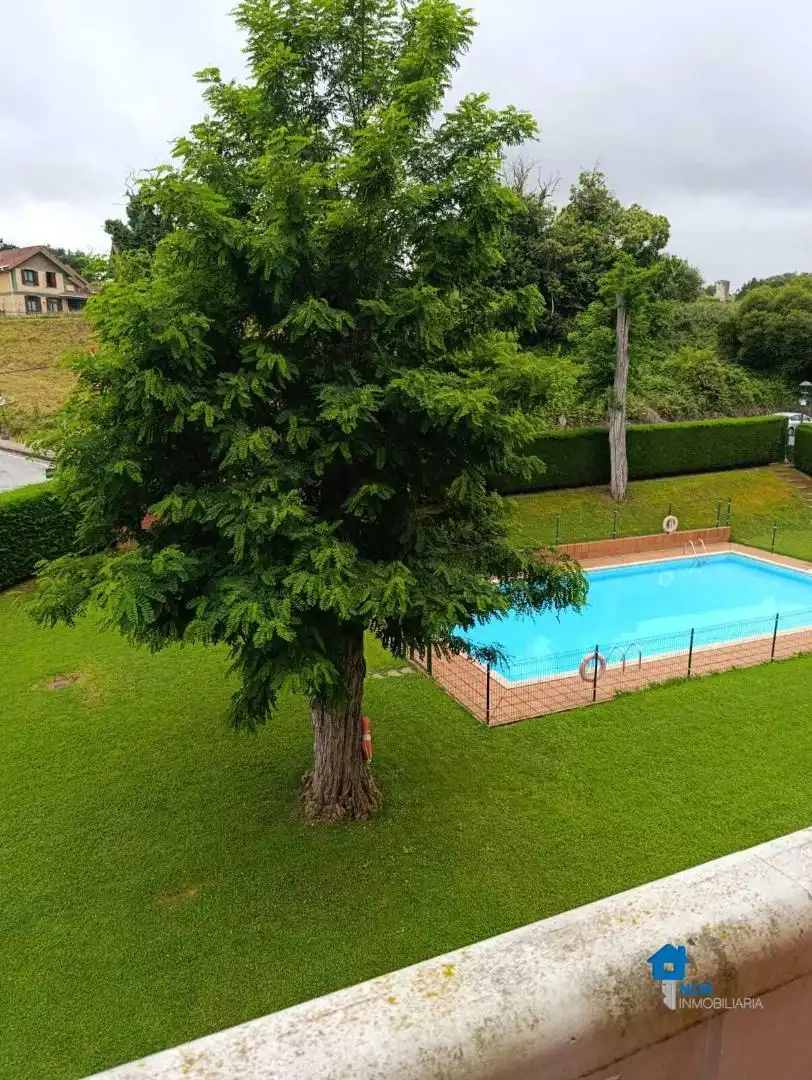 Swimming pool of Flat for sale in Bárcena de Cicero  with Storage room, Swimming Pool and Furnished