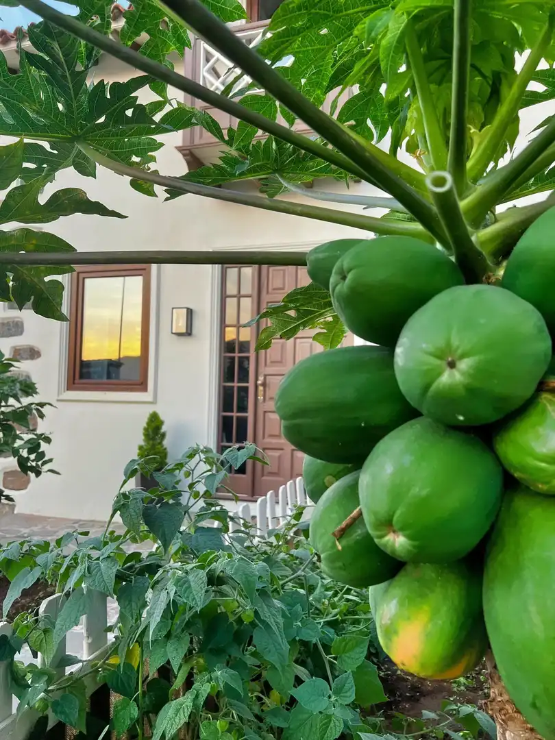 Vista exterior de Casa o xalet en venda en La Orotava amb Parquet, Terrassa i Traster
