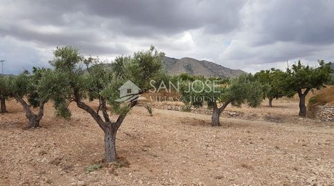 VENTA DE TERRENO RUSTICO EN LA CANALOSA