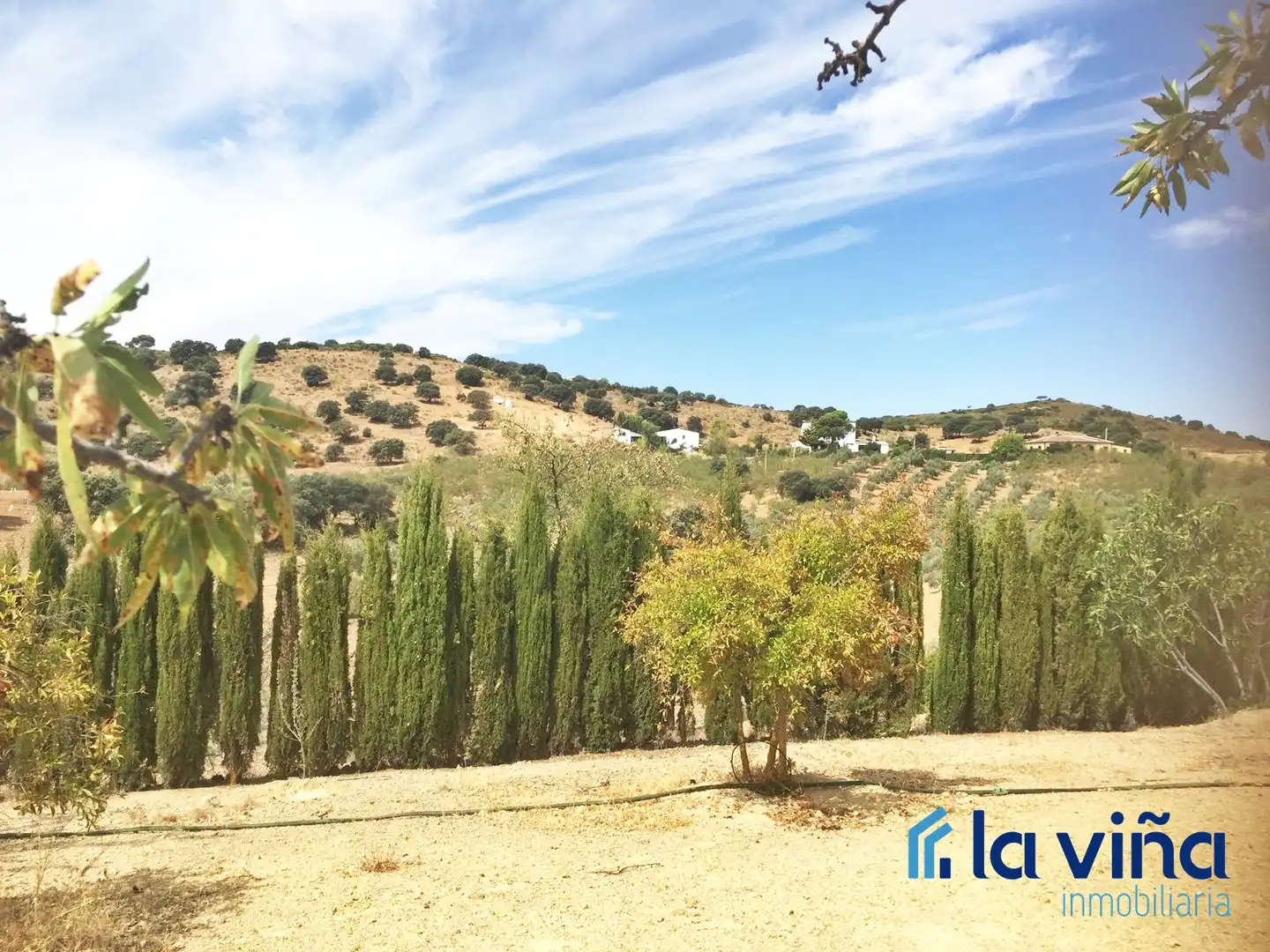 Chalet con piscina en venta en Villanueva del Rosario, imagen 17