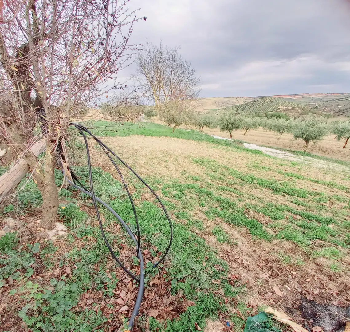 Terreni e lotti in vendita a Alhama de Granada, imagen 15
