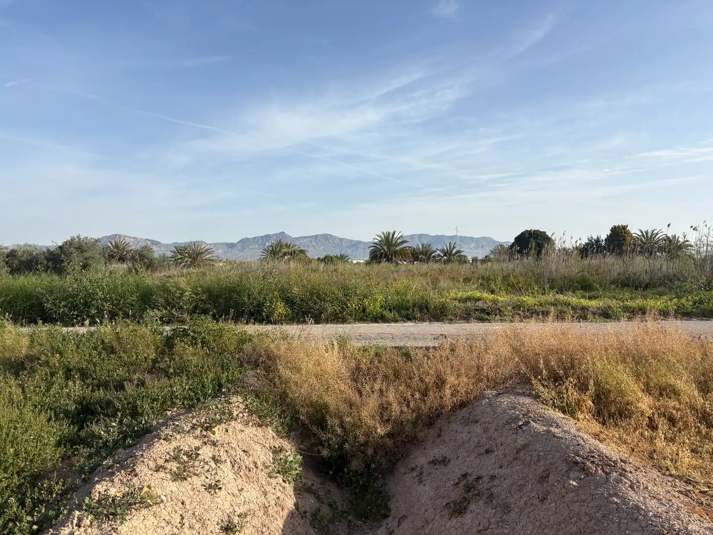 Terreno rustico in vendita a Granja de Rocamora, imagen 8