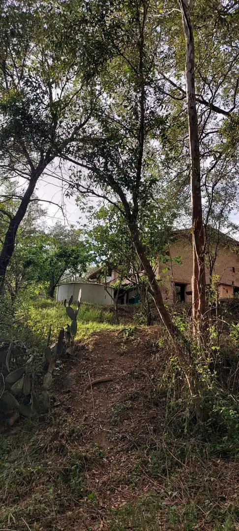 Exterior view of Houses for sale in Villanueva de la Vera