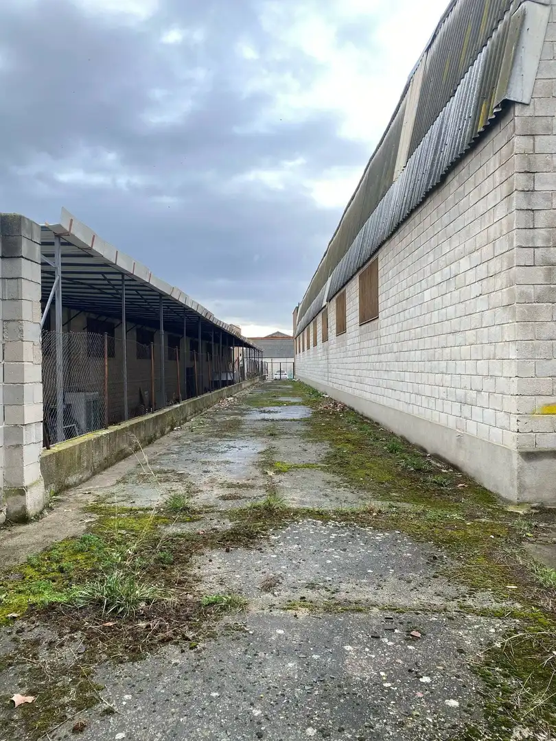 Nave industrielle à vendre à Barrio de la Estación, imagen 29