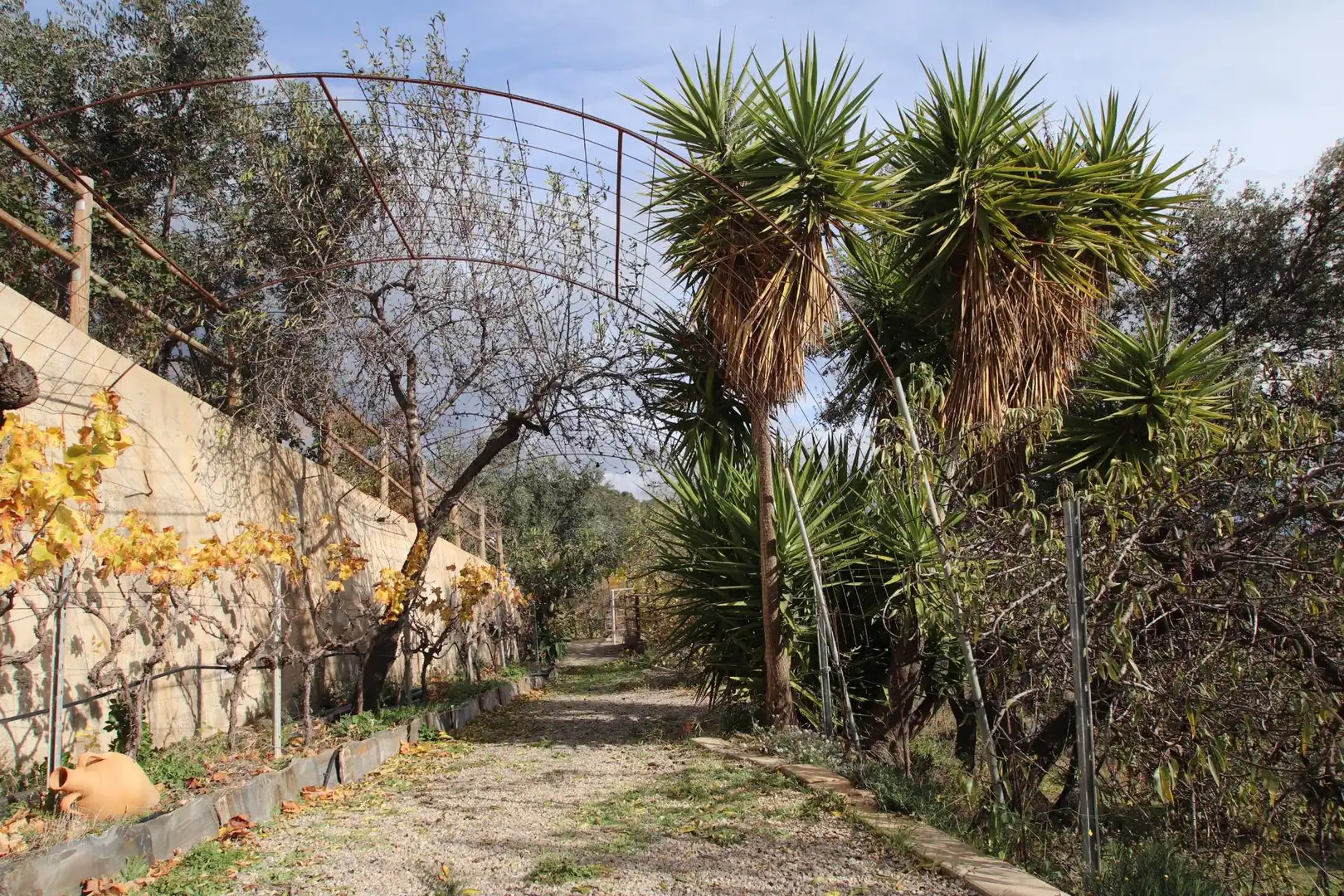 Casa rústica amb jardí en venda a Calle Humilladero 3, imagen 11