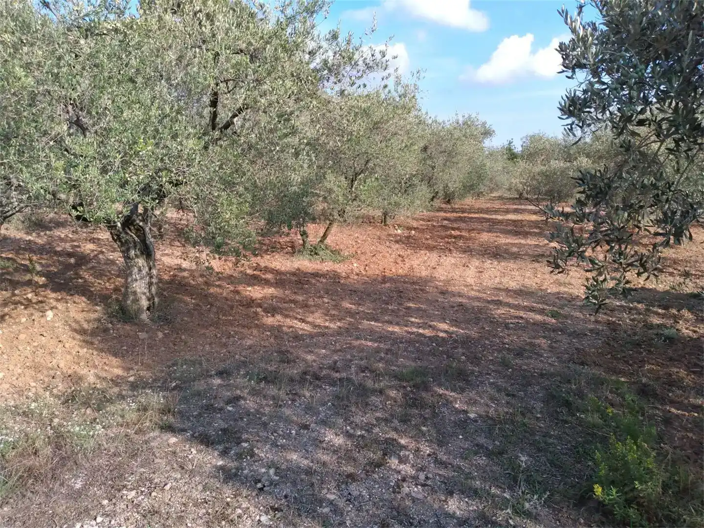 Terreno en venta en Centre