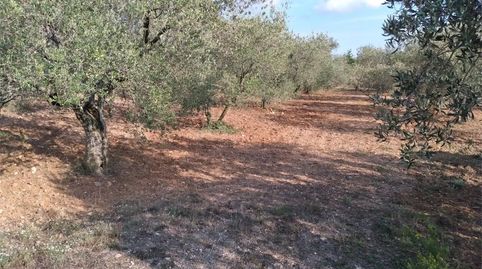 Foto 4 de Terreno en venta en Carrer Major, Barri del Centre, Terrassa