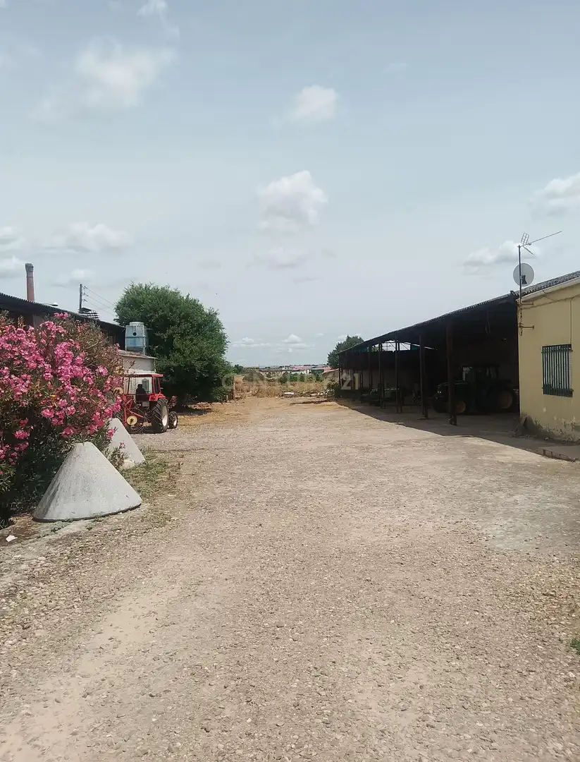 Residential for sale in Coria
