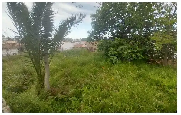 Terreny residencial en venda a Pinemar, imagen 8