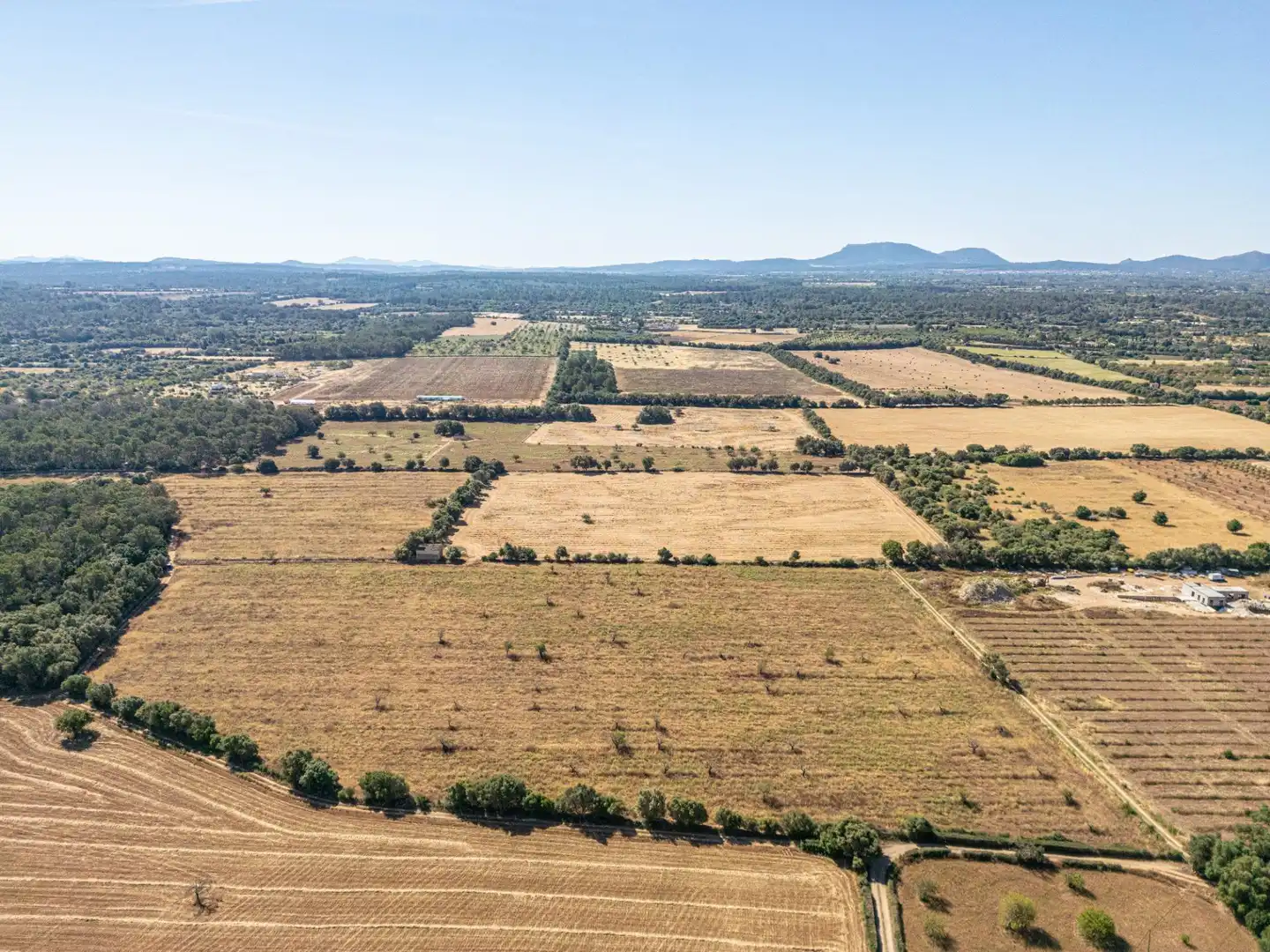 Rural land for sale in Sencelles, imagen 8