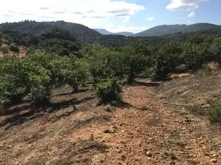 Terreni e lotti in vendita a Cortegana, imagen 6