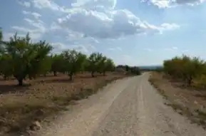 Rustikales Grundstück zum Verkauf in Requena