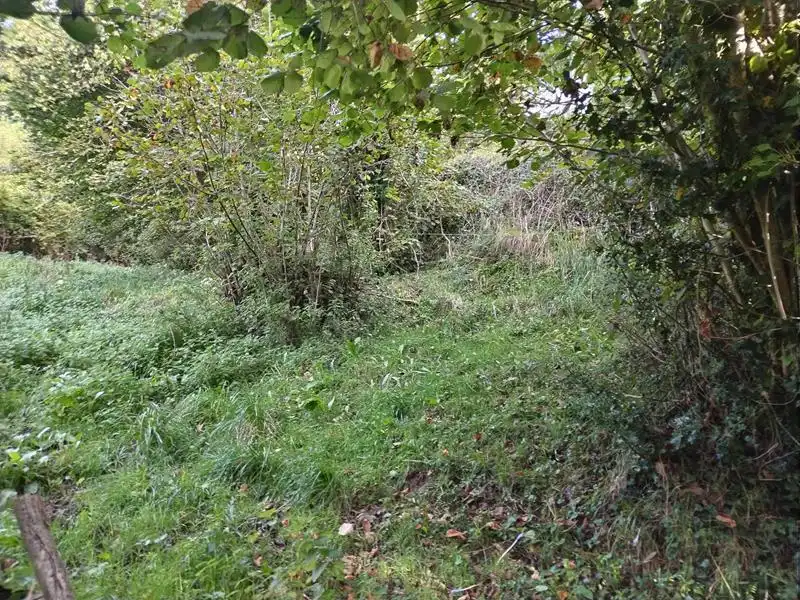 Country homes for sale in Yernes y Tameza
