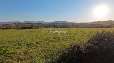 Preciosa parcela de terreno de 5.250 m² no urbanizable en Getxo., imatge 5