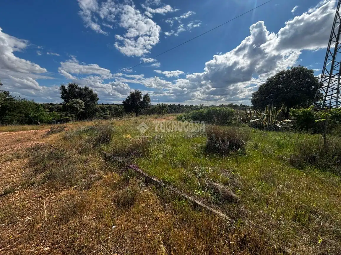 Finca rústica en venta en Carretera de Sevilla - Los Montitos