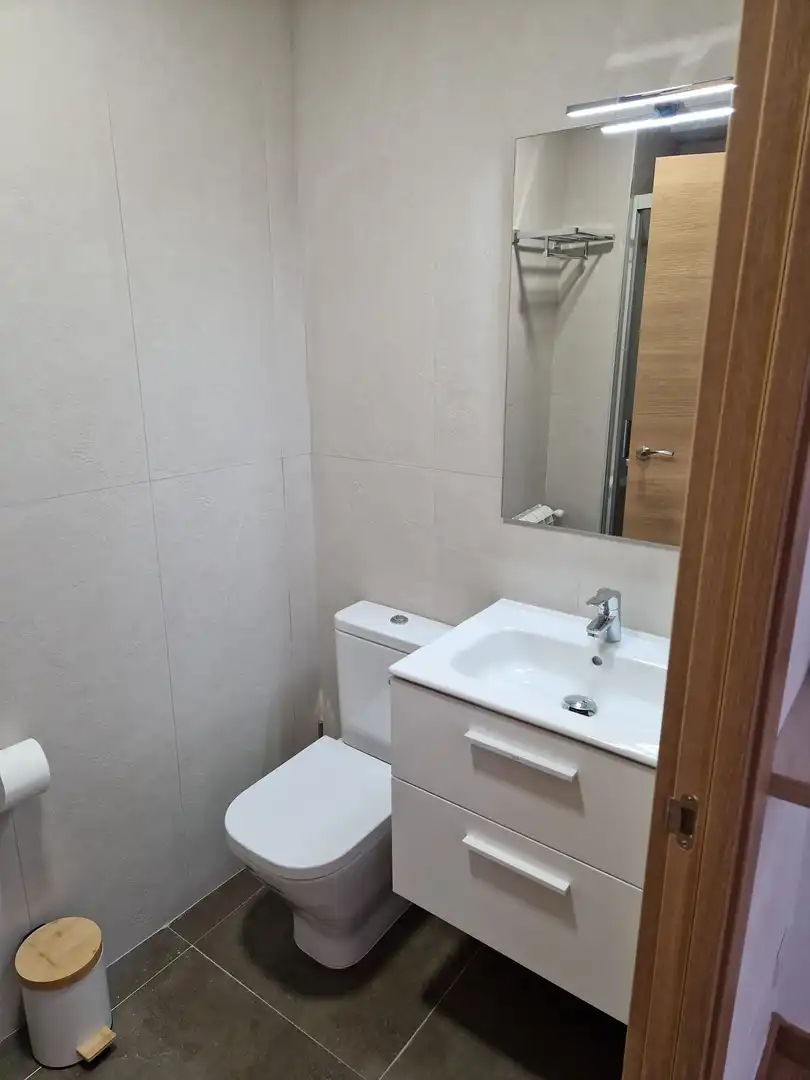 Bathroom of Apartments for rent in Lugo  with Terrace and Furnished