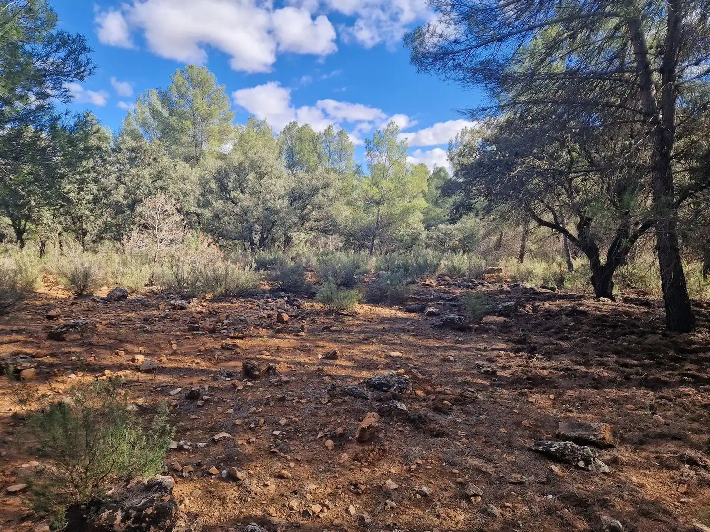 Rural land for sale in Pantano de Peñarroya 0, imagen 44