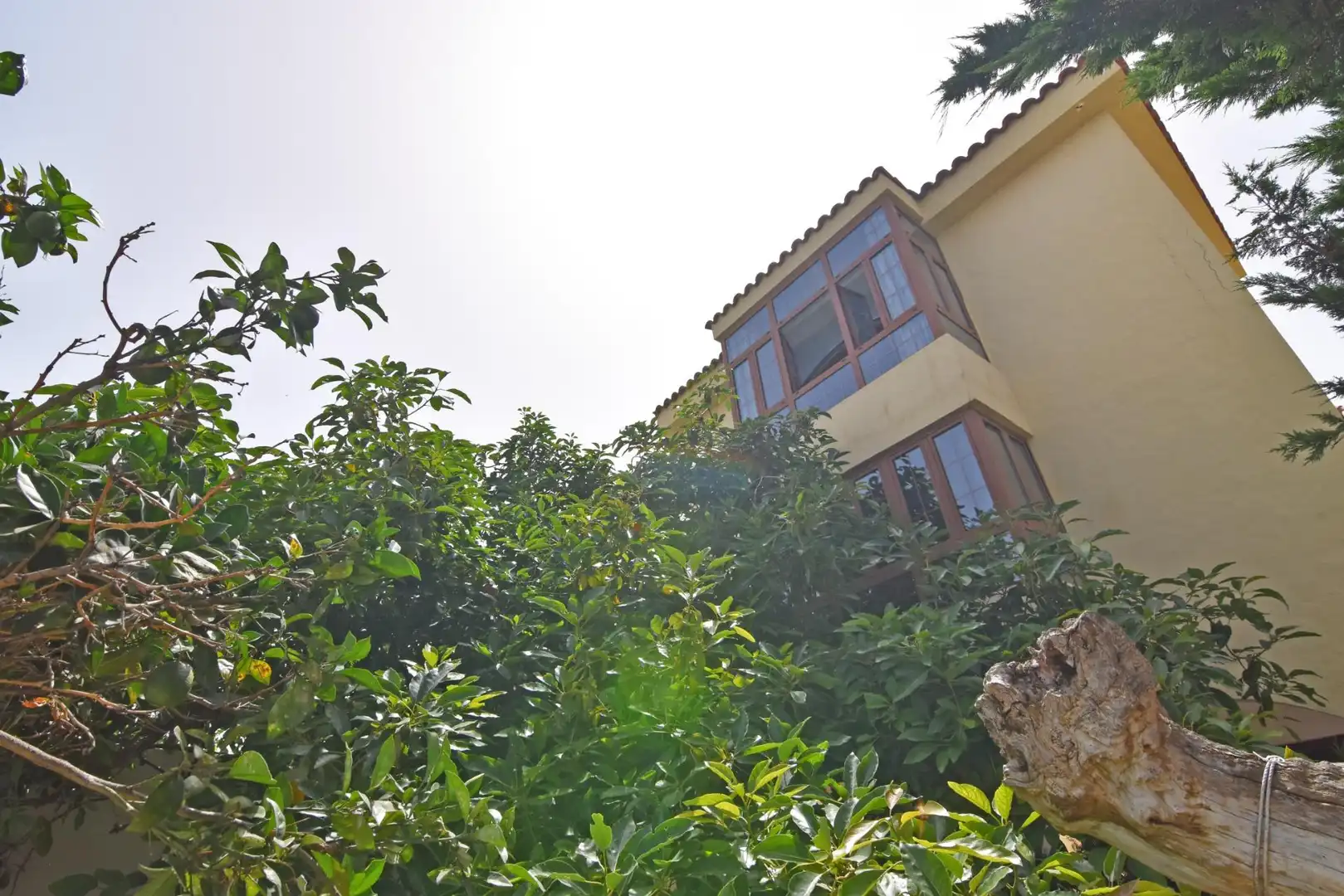 Vista exterior de Casa o chalet en venta en Firgas