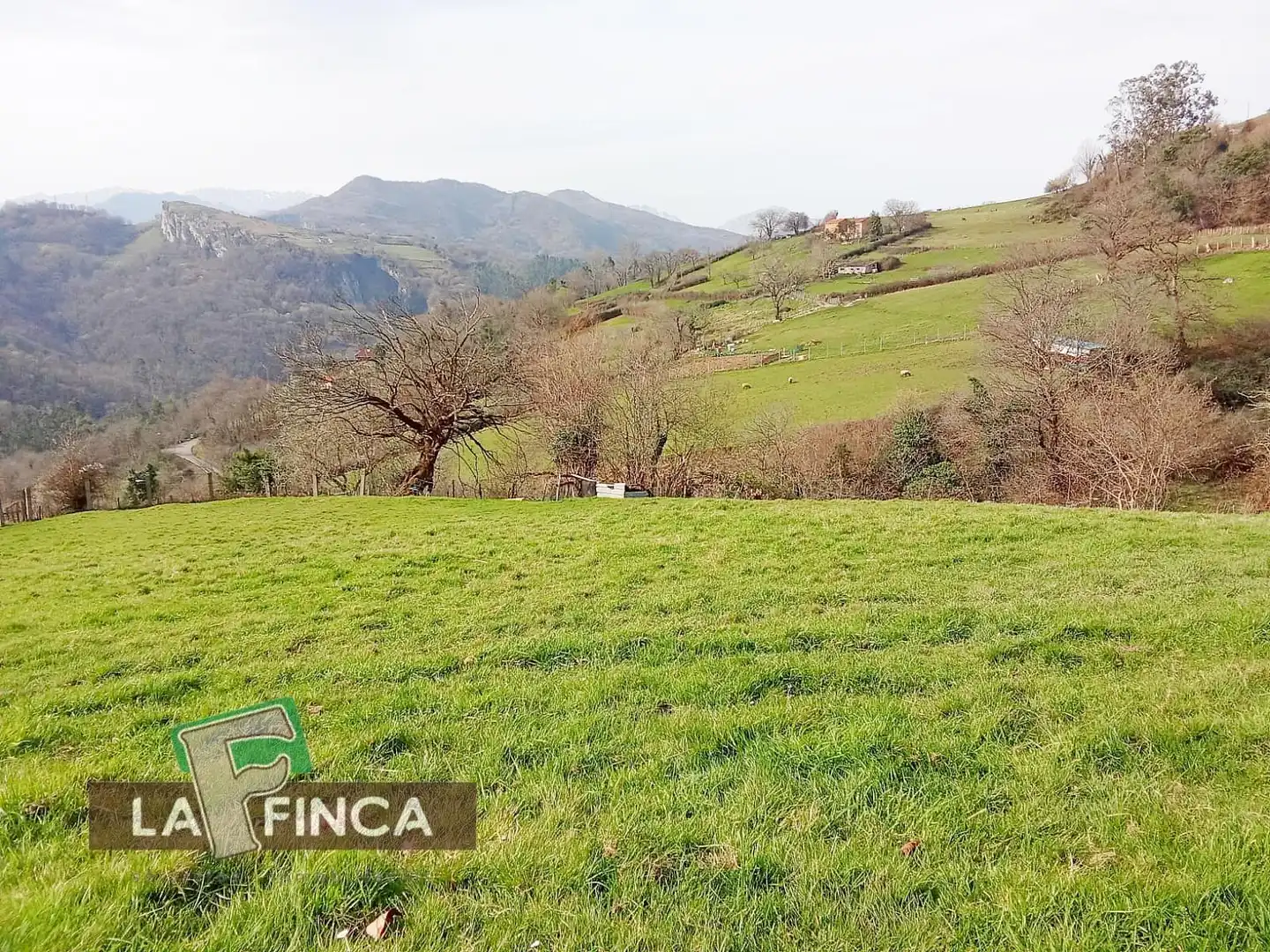 Residencial en venda en Oviedo 