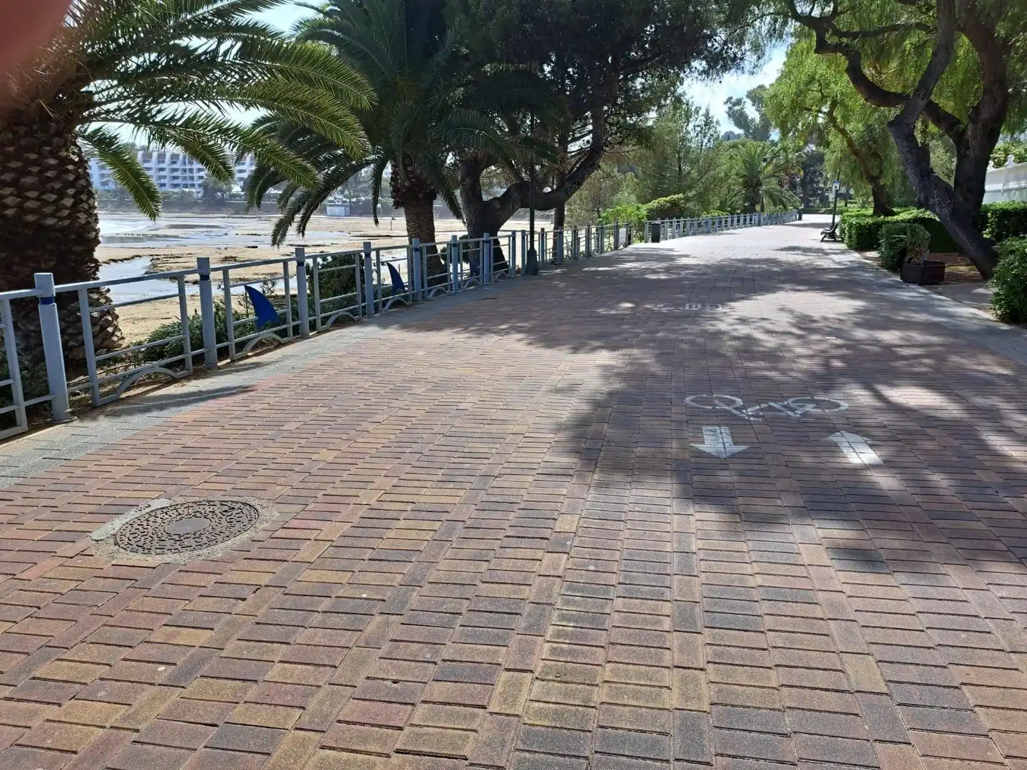 Local comercial en venda a Alcossebre, imagen 3